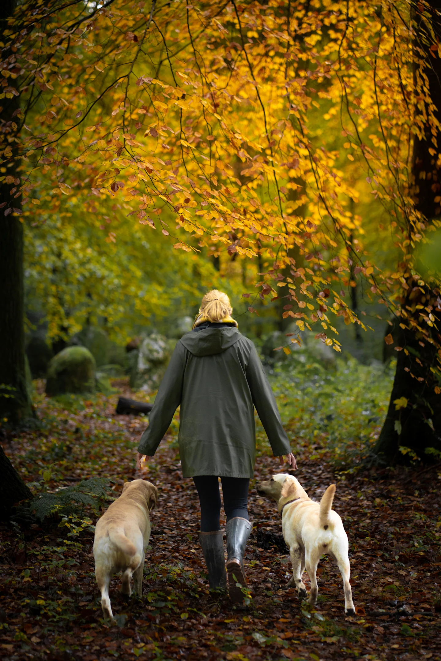 Sandra Wanderung Hunde