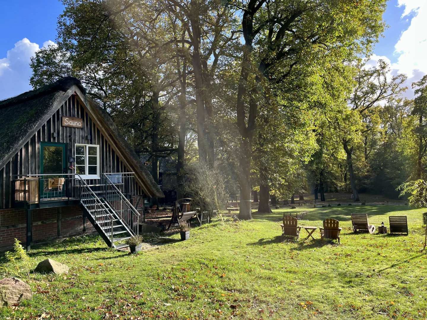 Wald-Lichtung