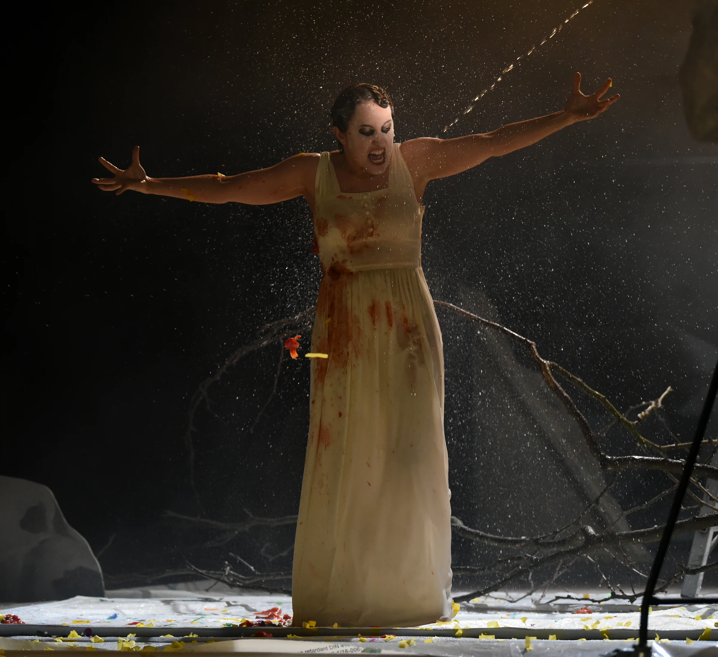 Titel 2 Riesen (197)