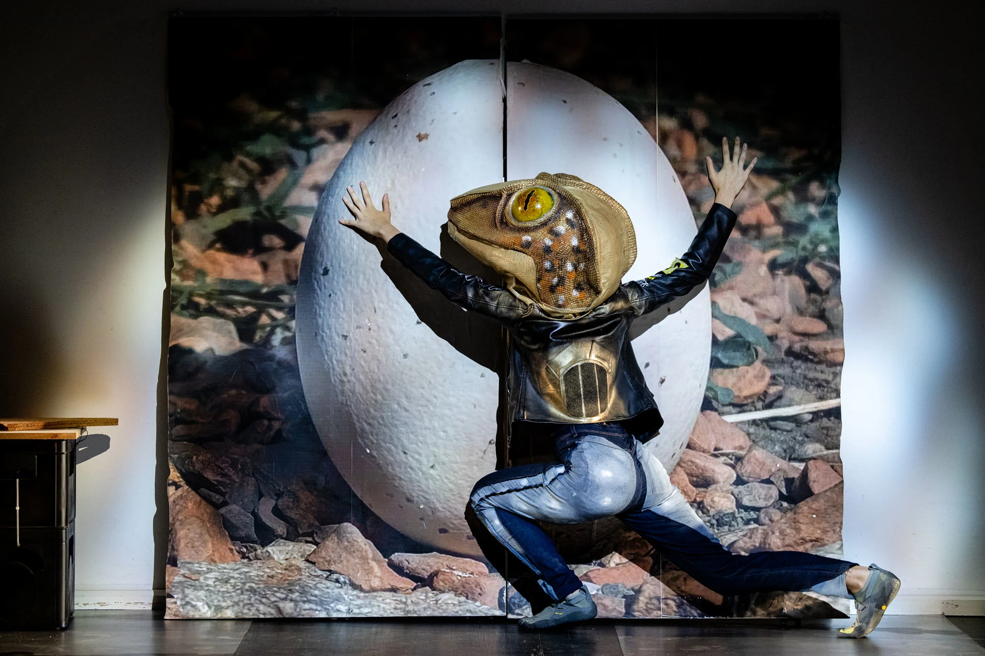 Dippel. Diagnose Cin 3