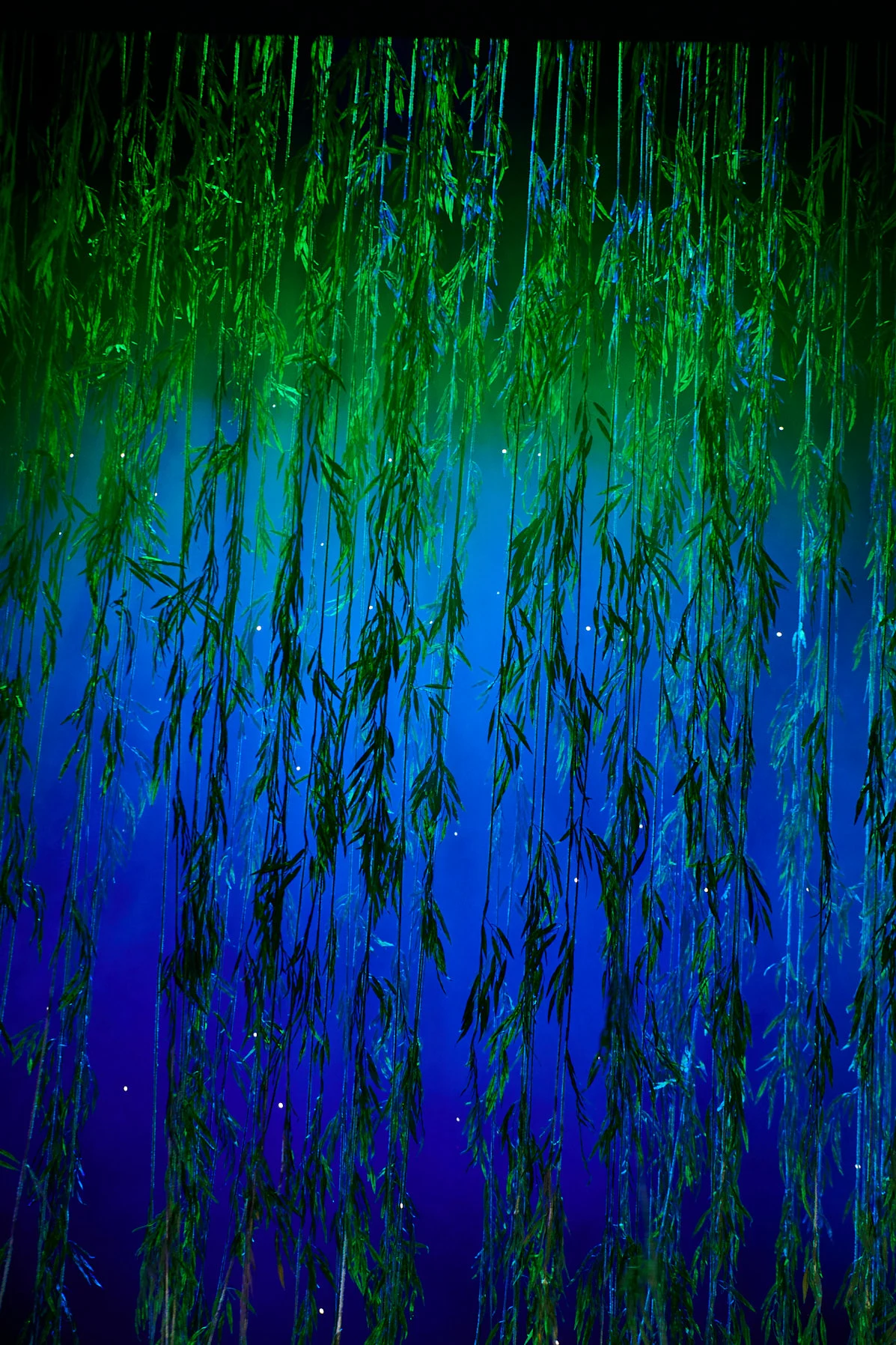 Cinderella KHP 245.NEF.p