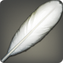 Sanctuary Feather