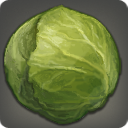 Island Cabbage