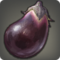 Island Eggplant