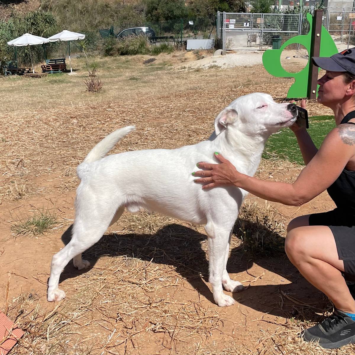 Wilson - 29753 Wilson - 29753