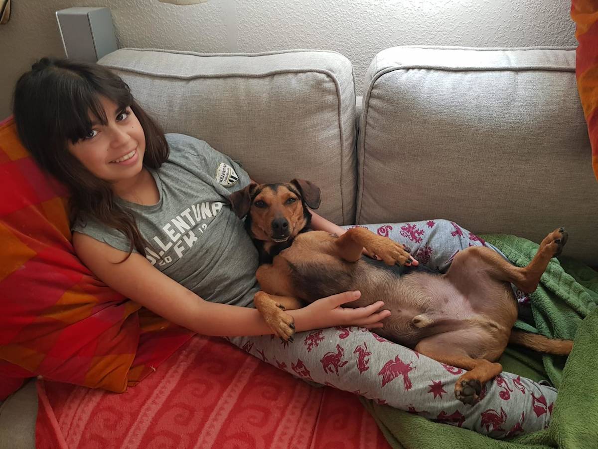 Peanut - 28731 Peanut - 28731