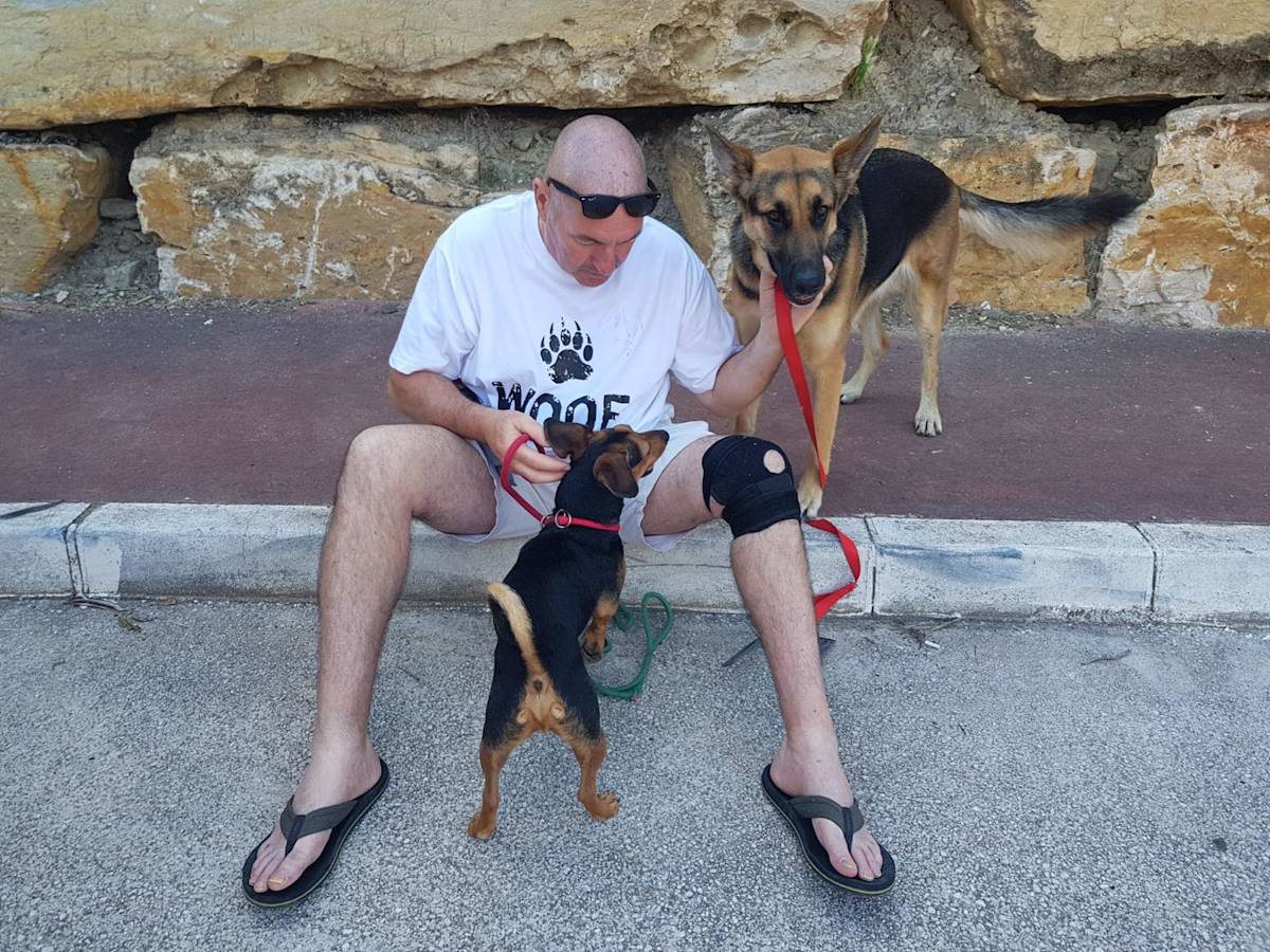 Peanut - 28731 Peanut - 28731