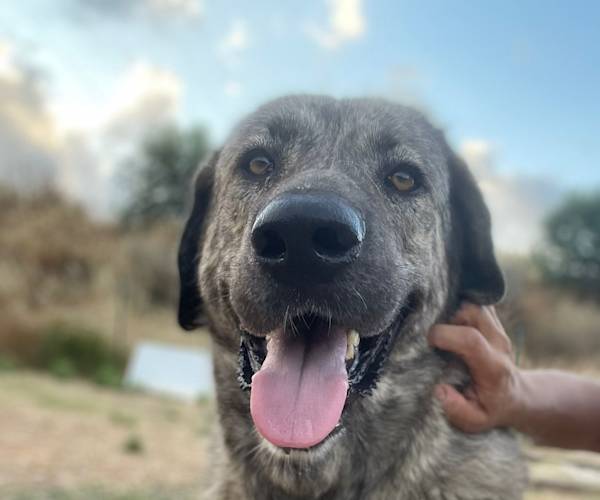 Lady Mastina Lady Mastina