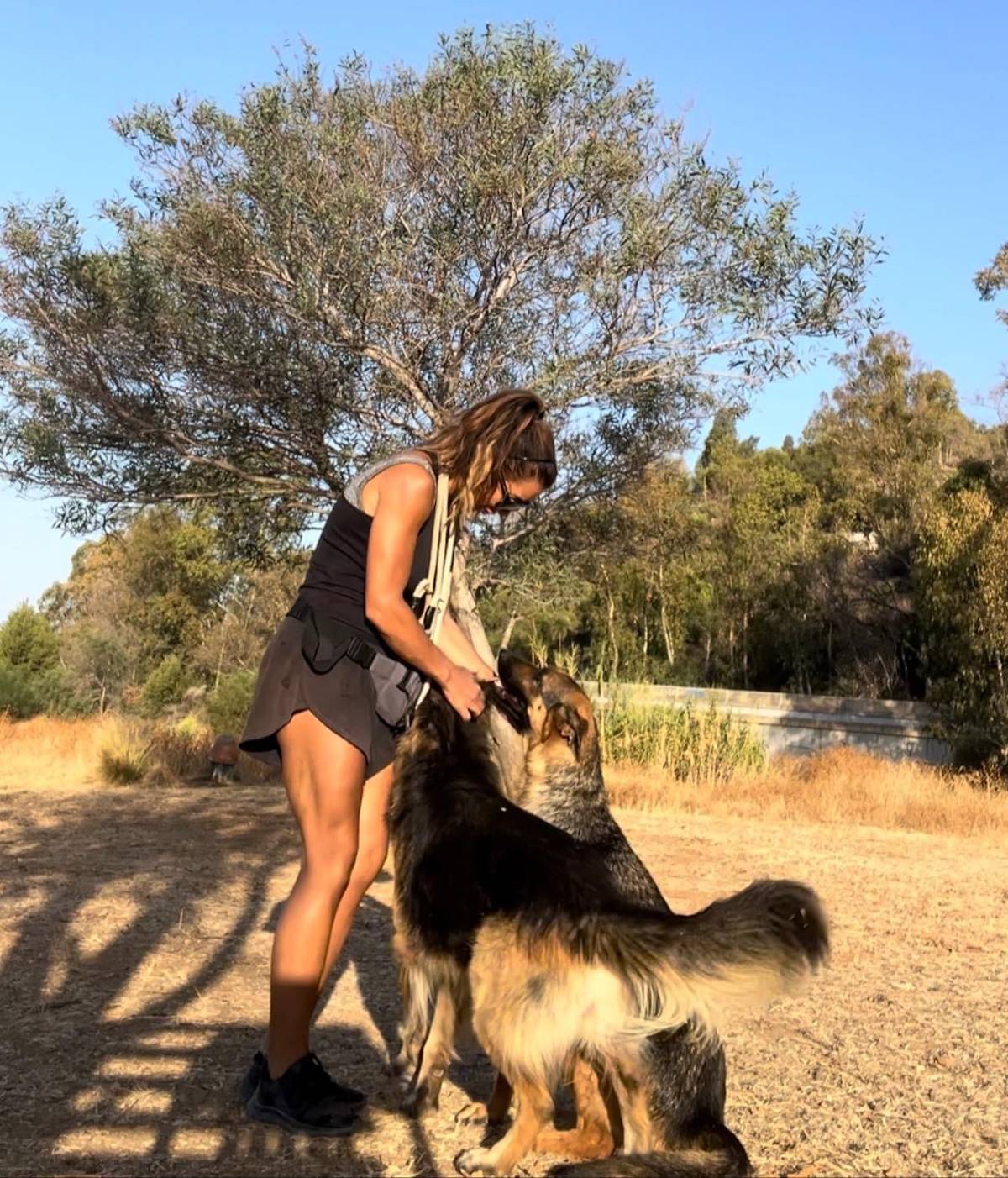 Lucky - 30682 Lucky - 30682