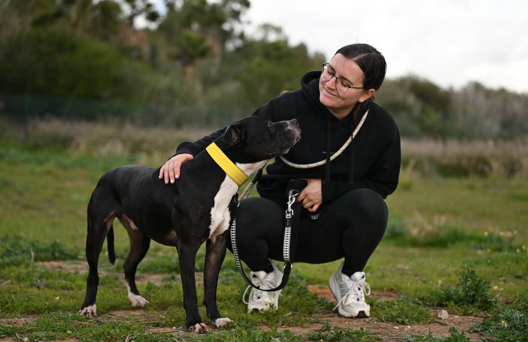 Narcos - 24650 Narcos - 24650