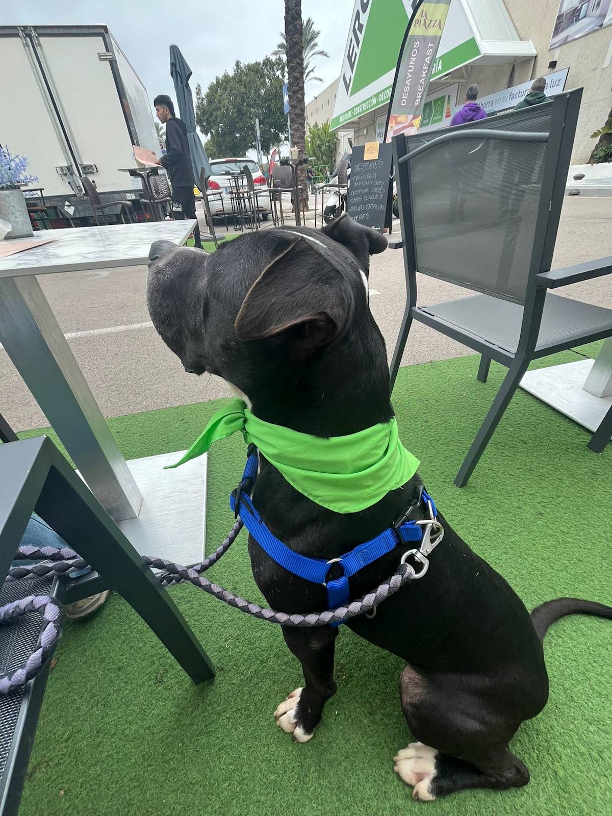 Narcos - 24650 Narcos - 24650