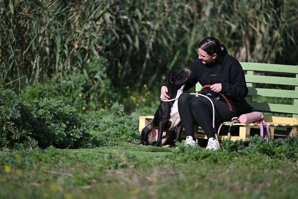 Narcos - 24650 Narcos - 24650