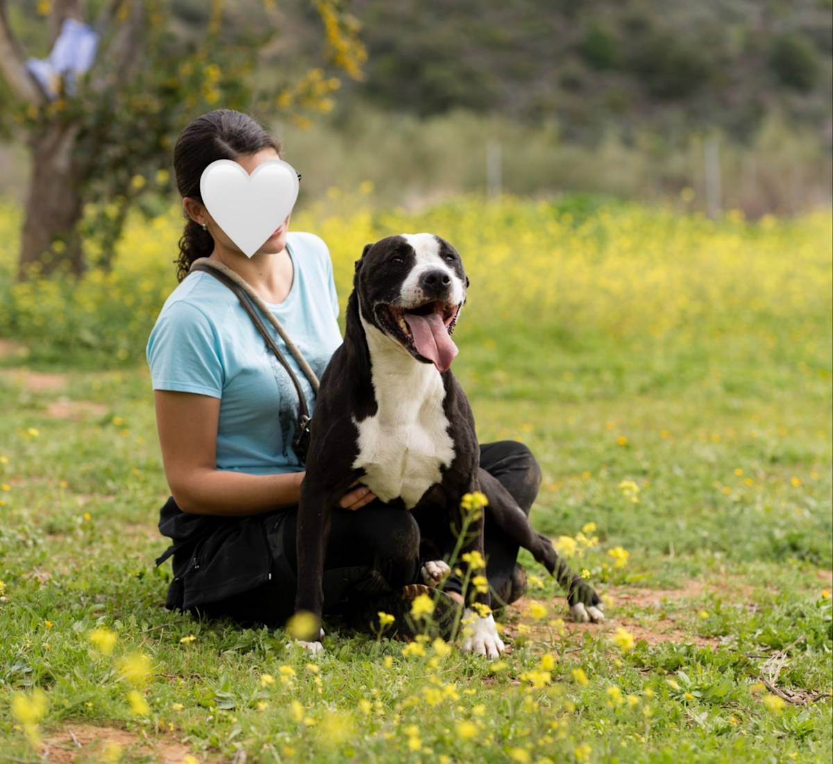 Bipo - 23282 Bipo - 23282