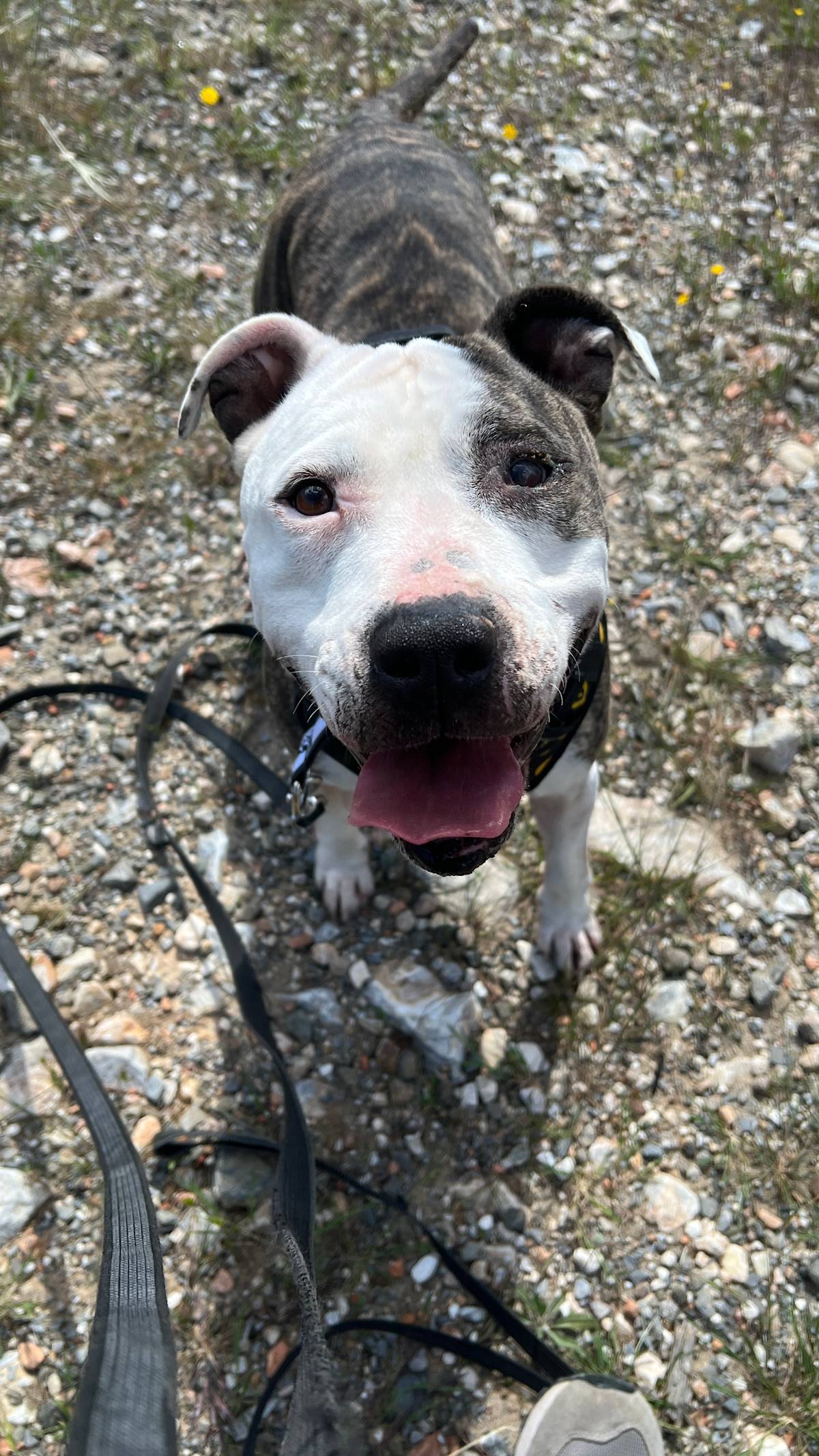 Sally - 29203 Sally - 29203