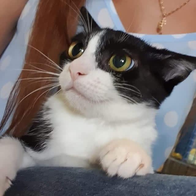 Olimpia - G1057 Olimpia - G1057