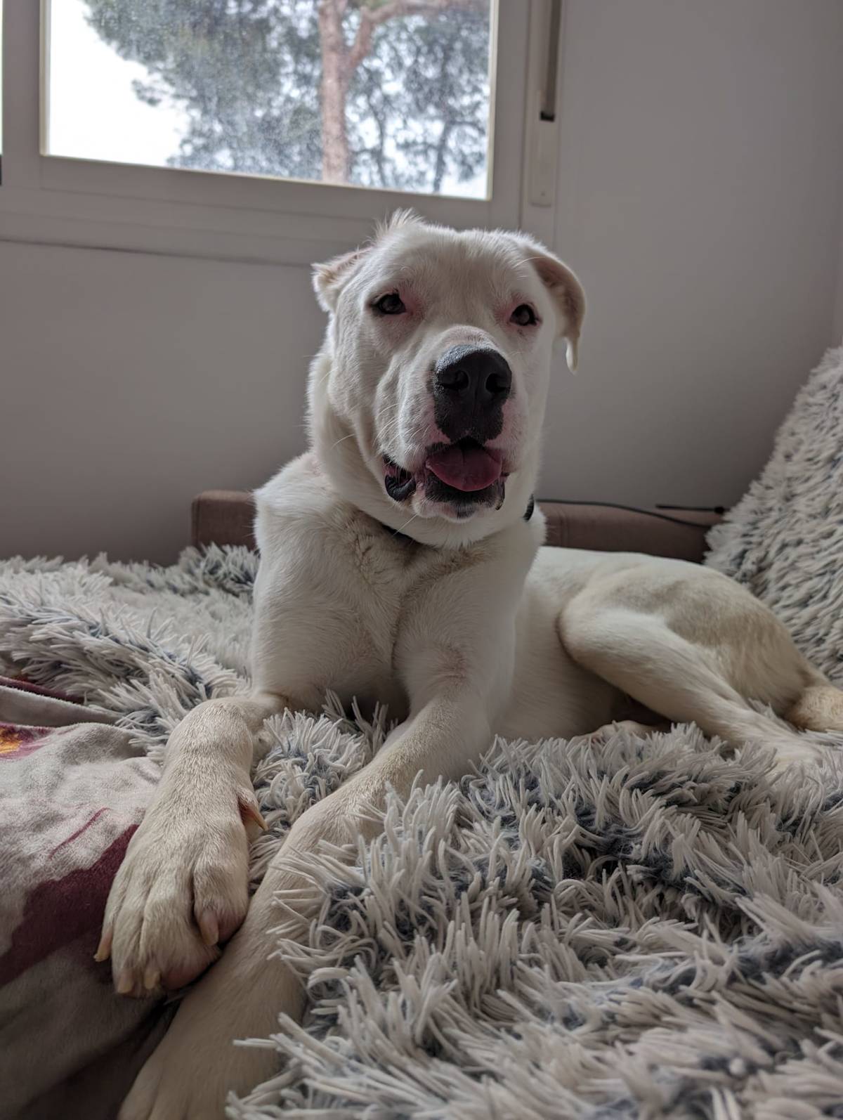 Wilson - 29753 Wilson - 29753