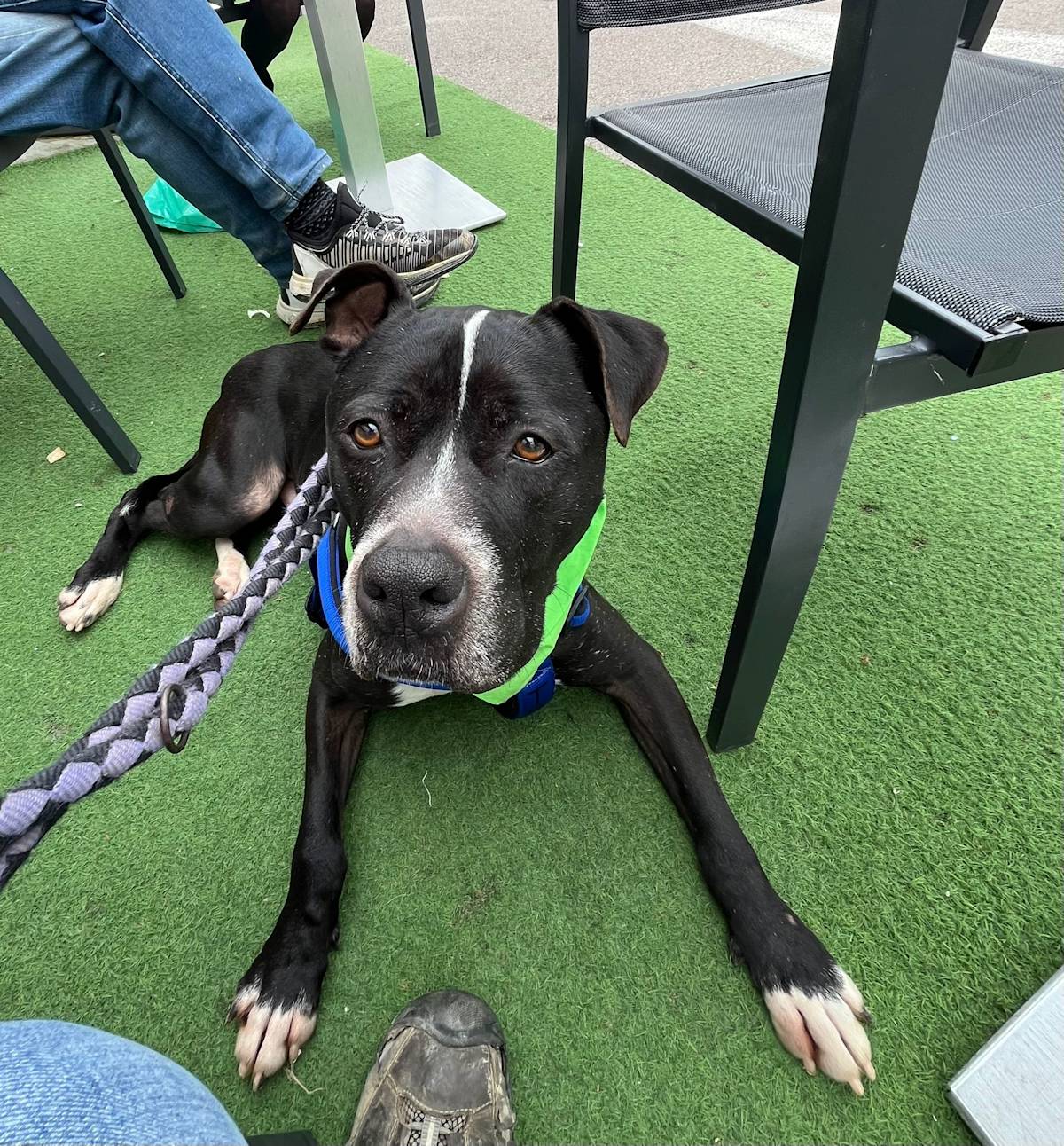 Narcos - 24650 Narcos - 24650