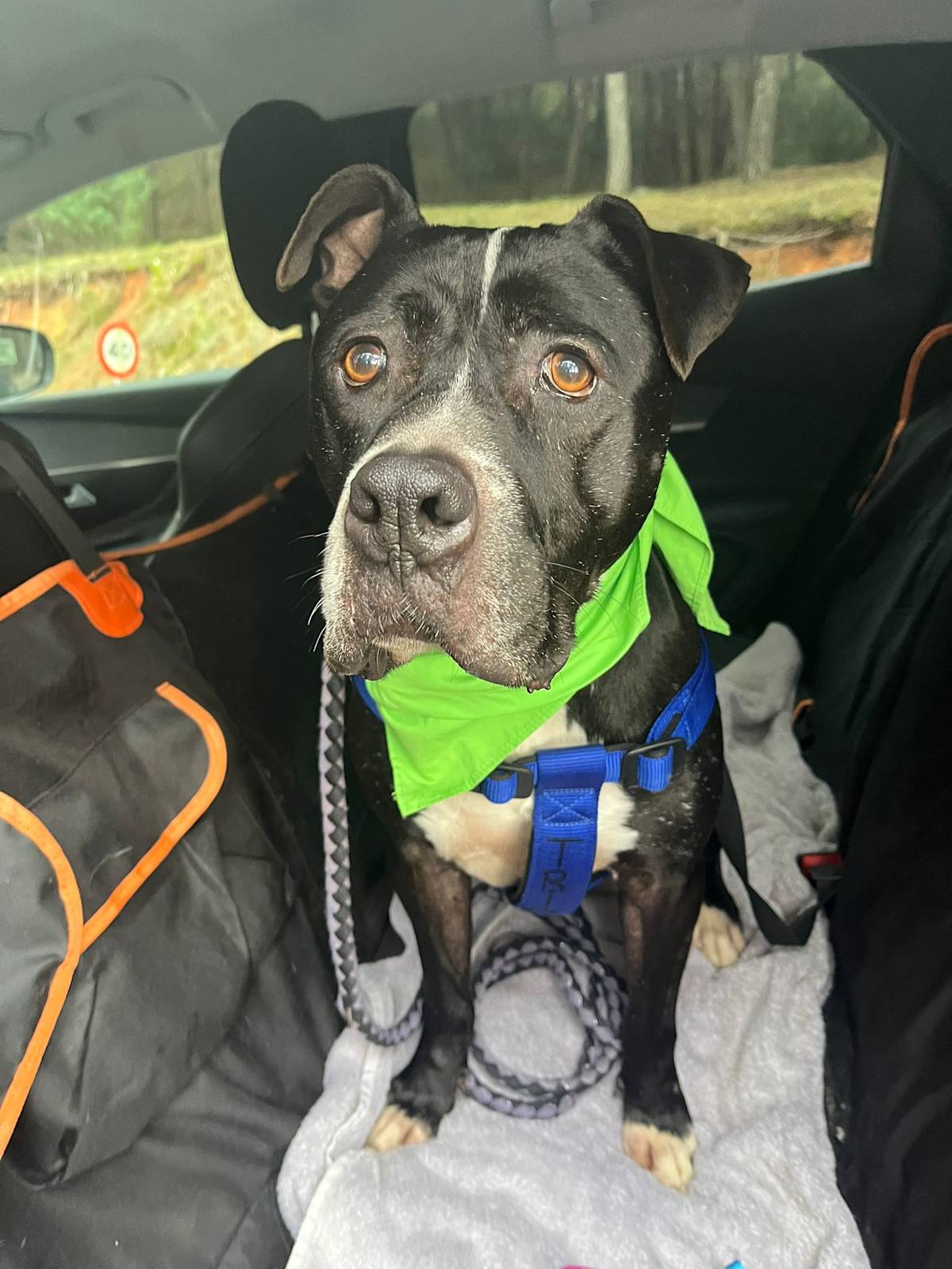 Narcos - 24650 Narcos - 24650