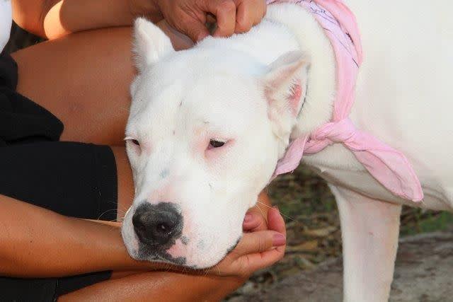 Alexa - 28951 Alexa - 28951