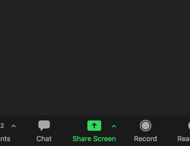 skype share screen without camera