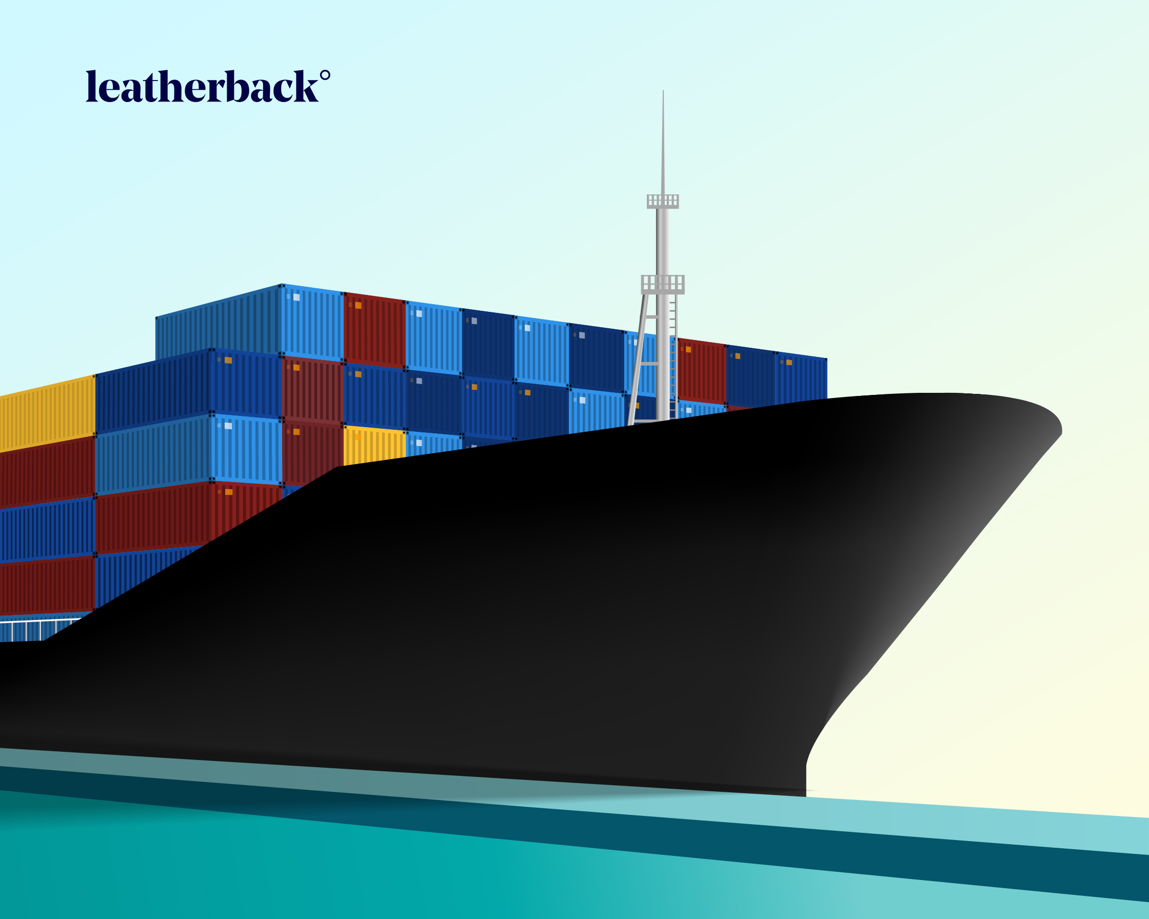 Leatherback - Trade Opportunities for Nigerian Exporters-1-