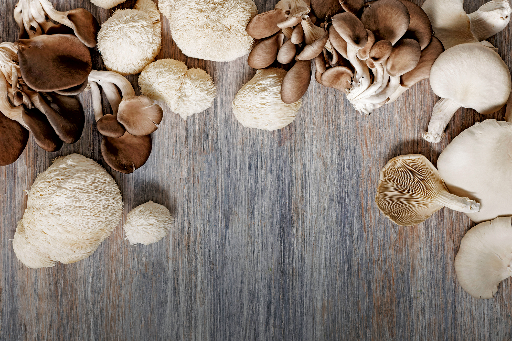 Sienistä umamia ja uusia muotoja ruokalistalle — HoReCa-tukku Kespro