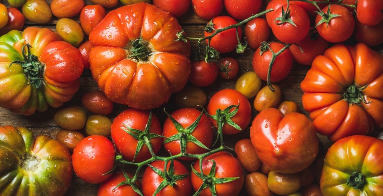 tomaatti-valikoima-kespro