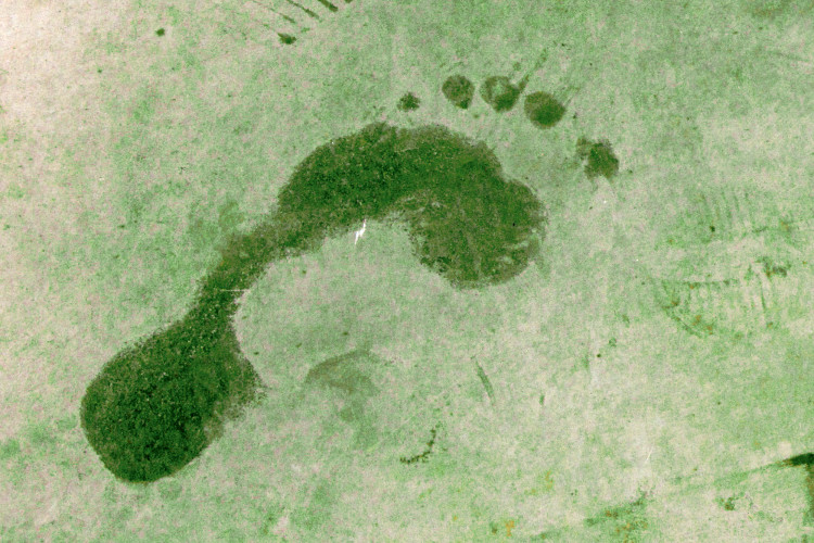 Ekologinen vihreä jalanjälki