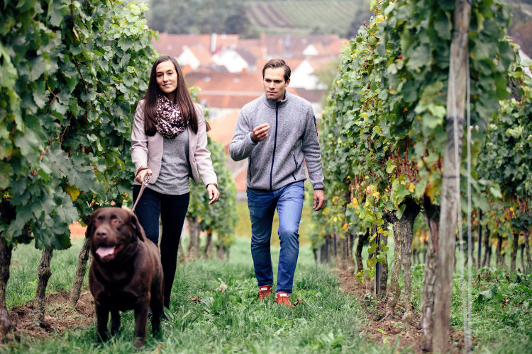 Axel ja Katharina May sekä heidän labradorinnoutajansa Pinot kävelemässä viinitarhalla