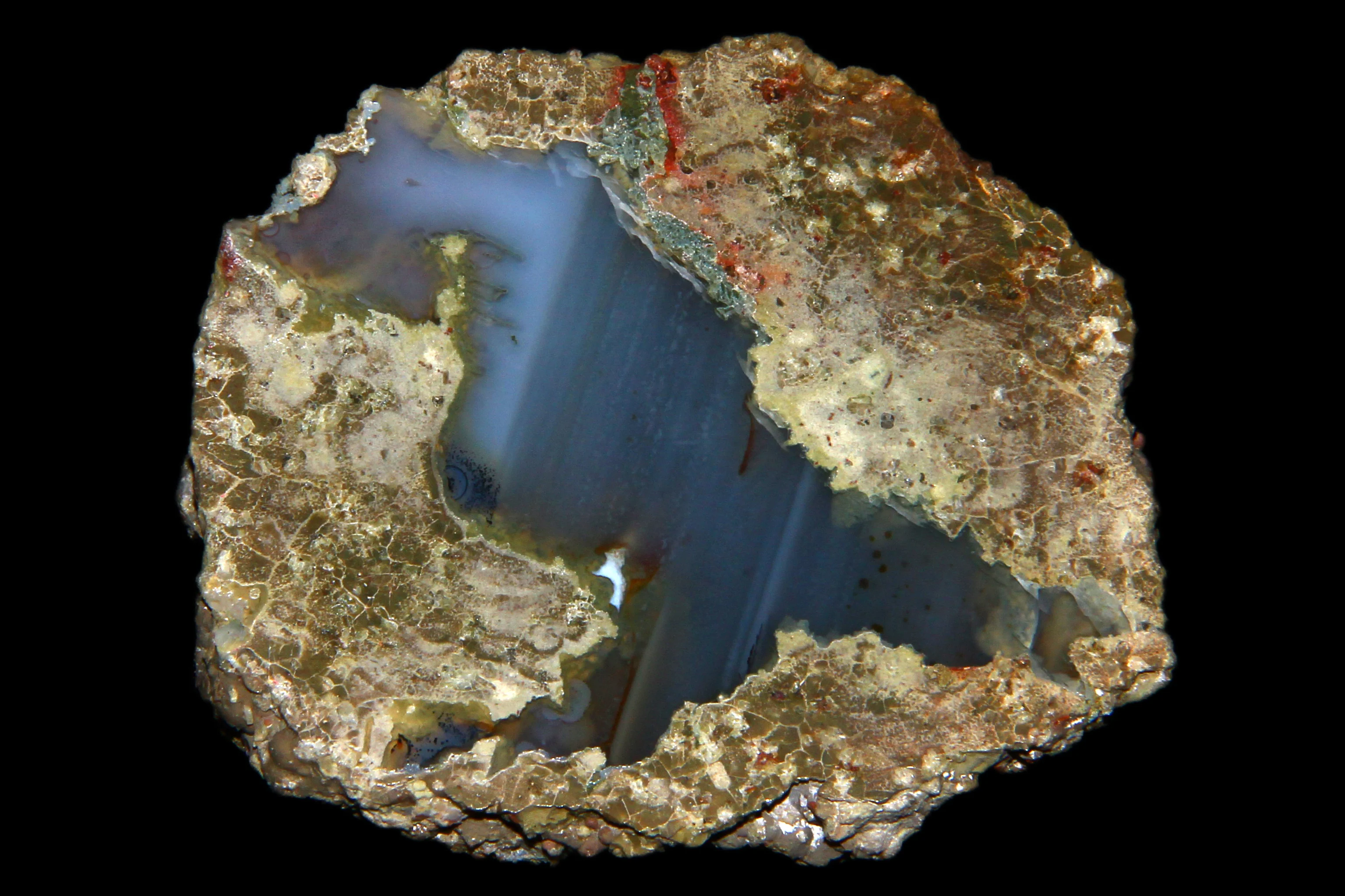 thunderegg-_Falen_Tree,_Oregon,_USA..jpg