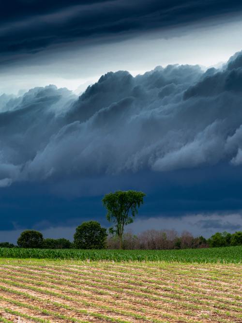 Clouds-trees-fields