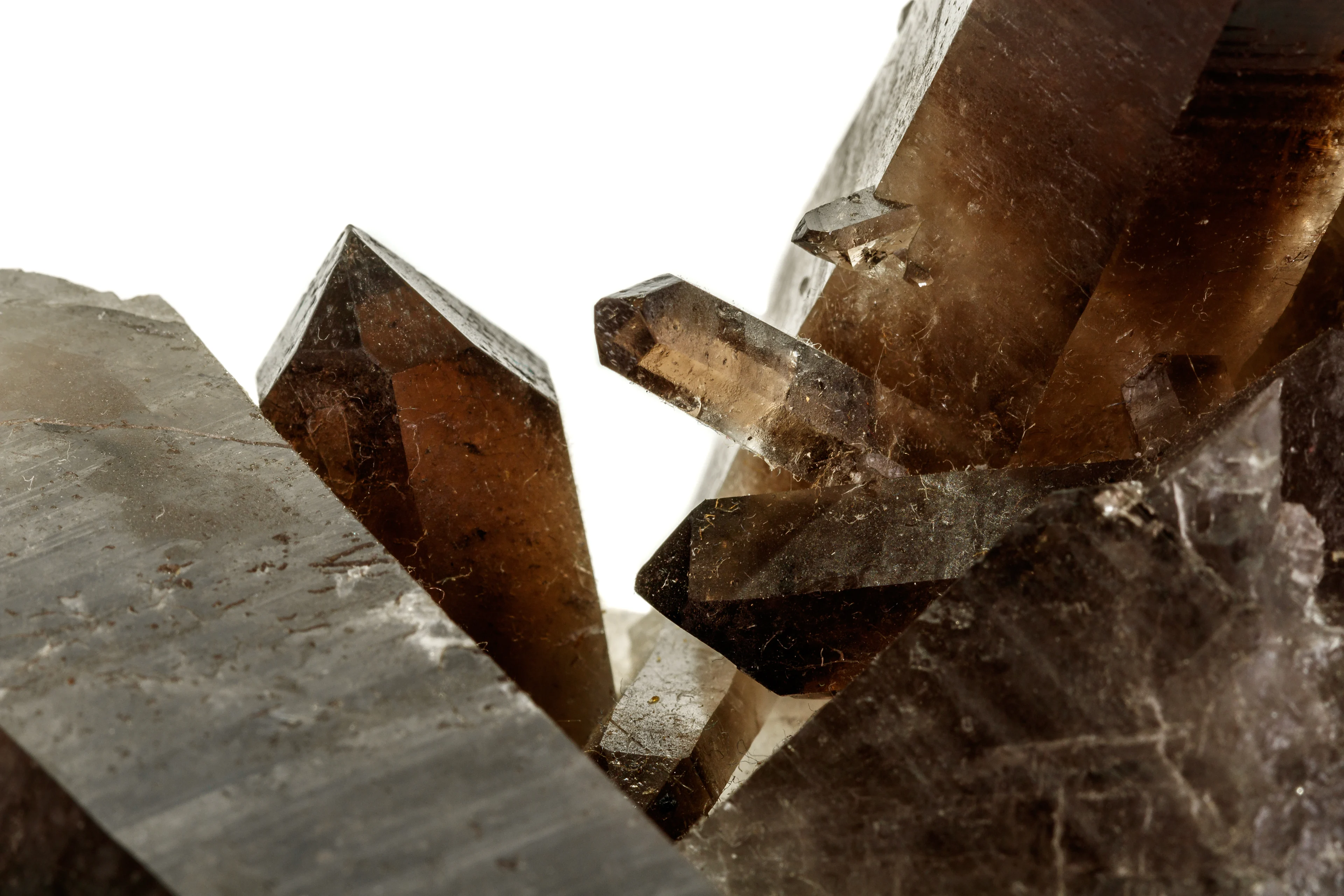 AdobeStock_466022228.jpeg