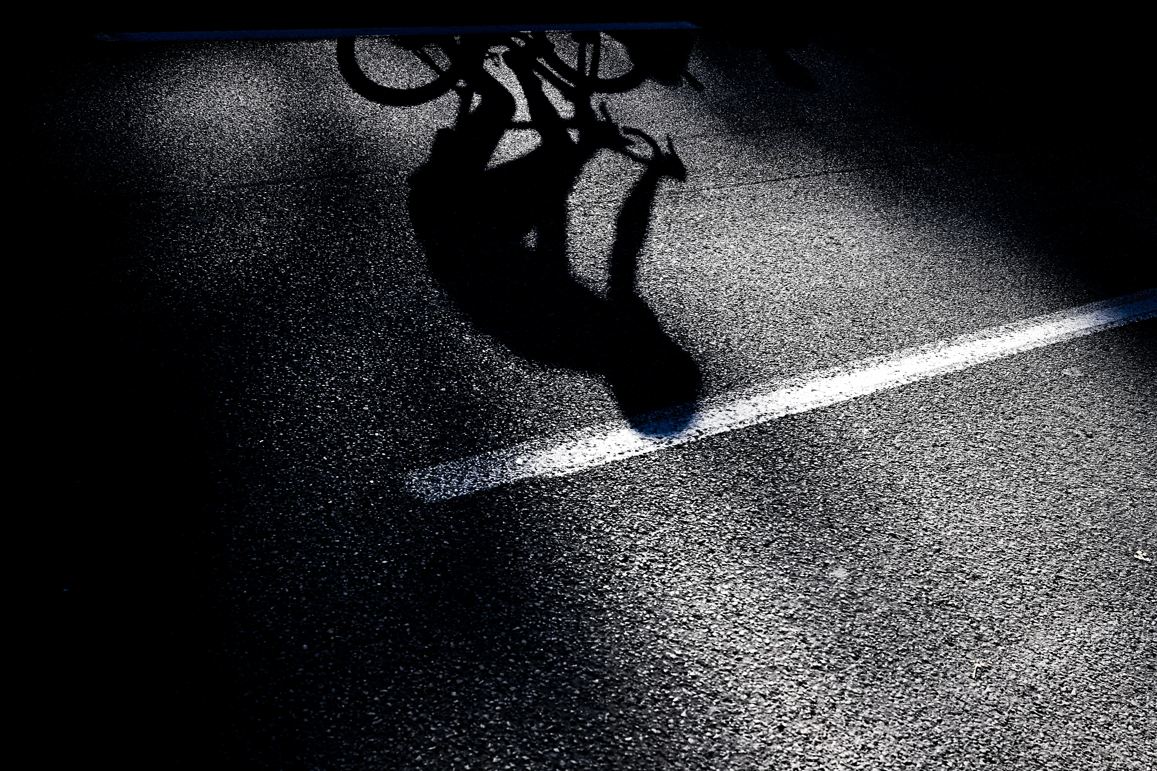 blog banner