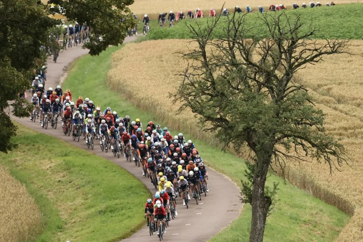 The pack of riders (peloton) cycles past fields during the 8th stage of the 111th edition of the Tour de France cycling race, 183,5 km between Semur-en-Auxois and Colombey-les-deux-Eglises, on July 6, 2024. Anne-Christine POUJOULAT / AFP