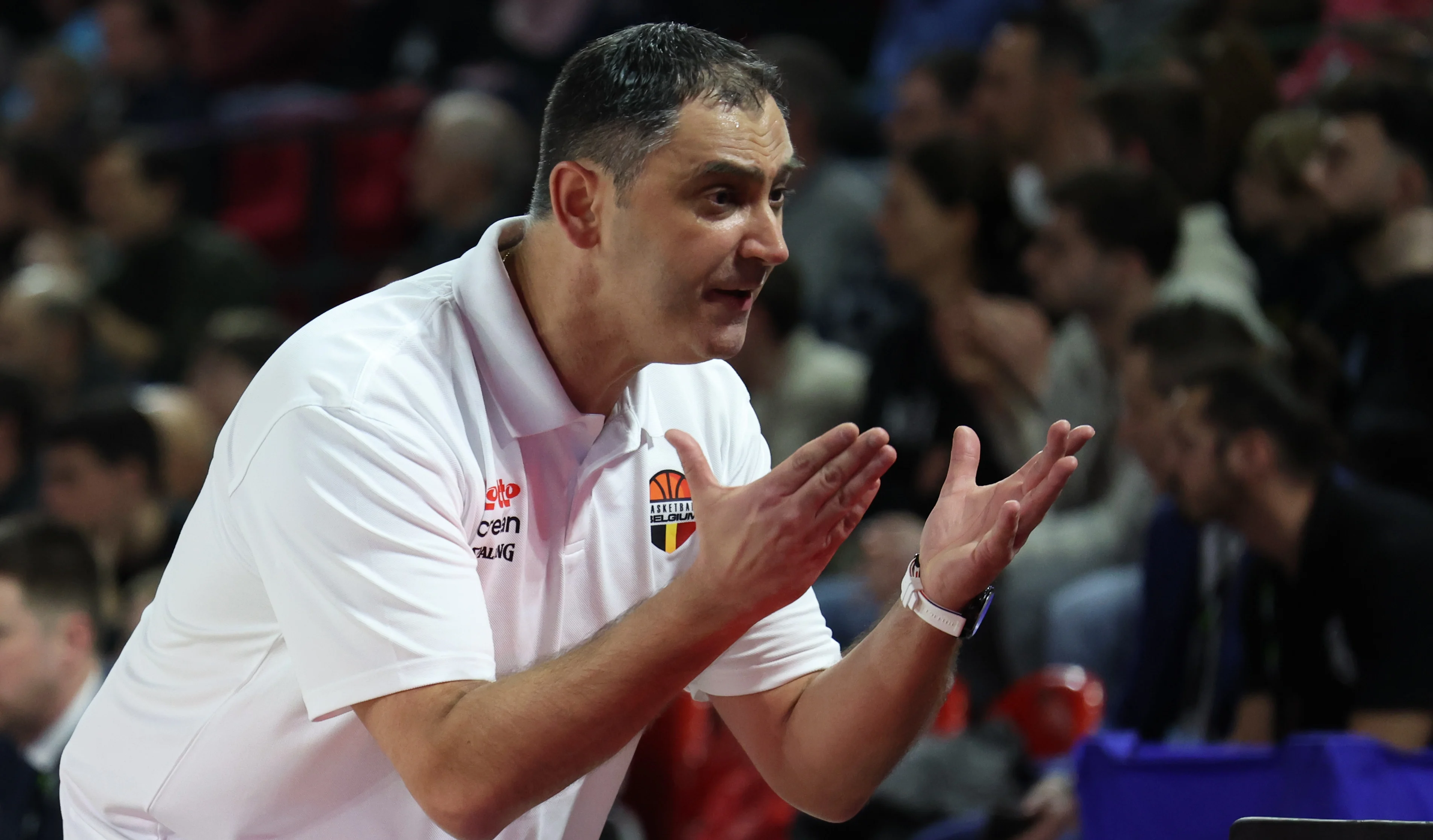 Belgium's head coach Dario Gjergja gestures during a basketball match between Belgium's national team Belgian Lions and Spain, Sunday 25 February 2024 in Charleroi, game 2/6 in the group stage for the Euro 2025 qualifications. BELGA PHOTO VIRGINIE LEFOUR