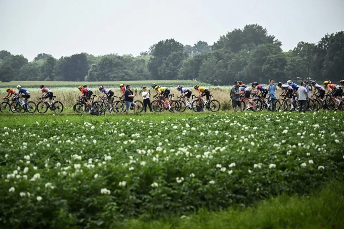 The pack of riders (peloton) compete during the 4th stage (out of 8) of the third edition of the Women's Tour de France cycling race, a 122.7 km between Valkenburg and Liege, on August 14, 2024.  JULIEN DE ROSA / AFP