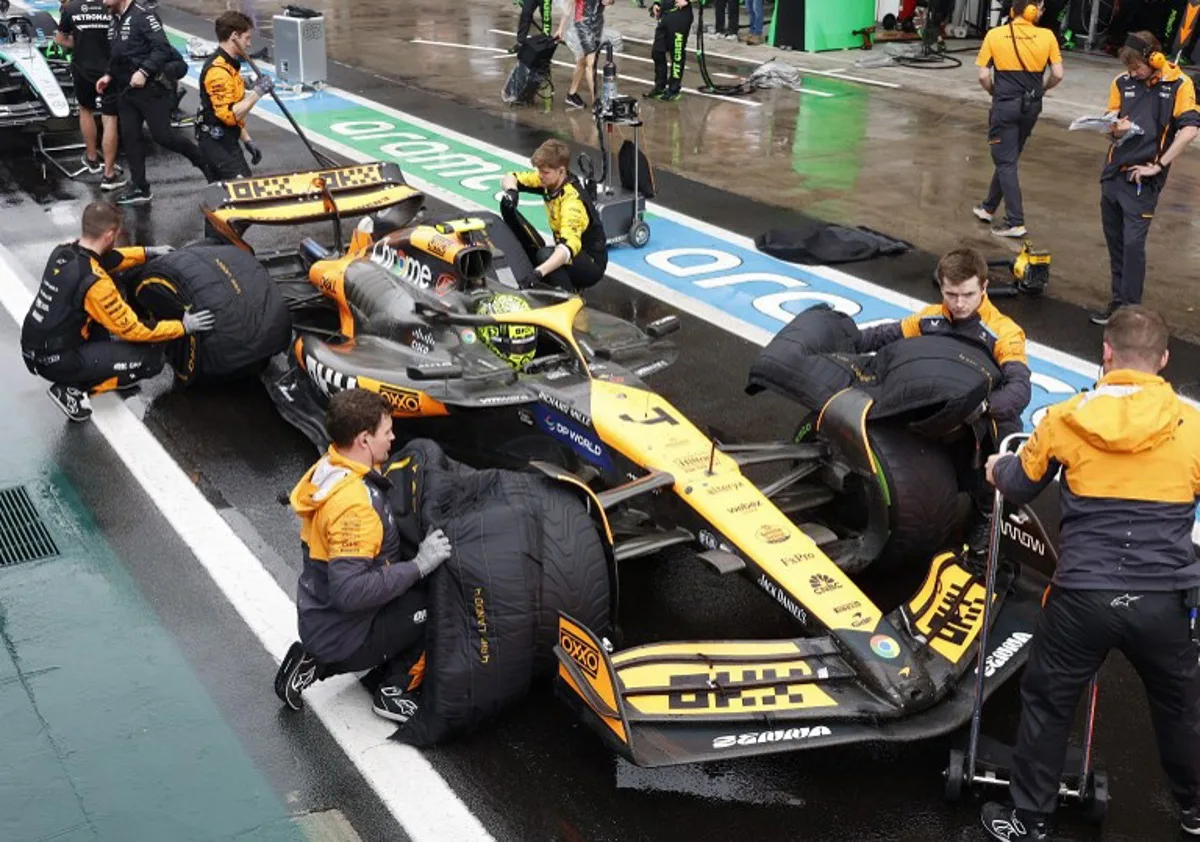 McLaren's British driver Lando Norris pits during a red flag in the Formula One Sao Paulo Grand Prix, at the Jose Carlos Pace racetrack, aka Interlagos, in Sao Paulo, Brazil, on November 3, 2024.  Sebastiao Moreira / POOL / AFP