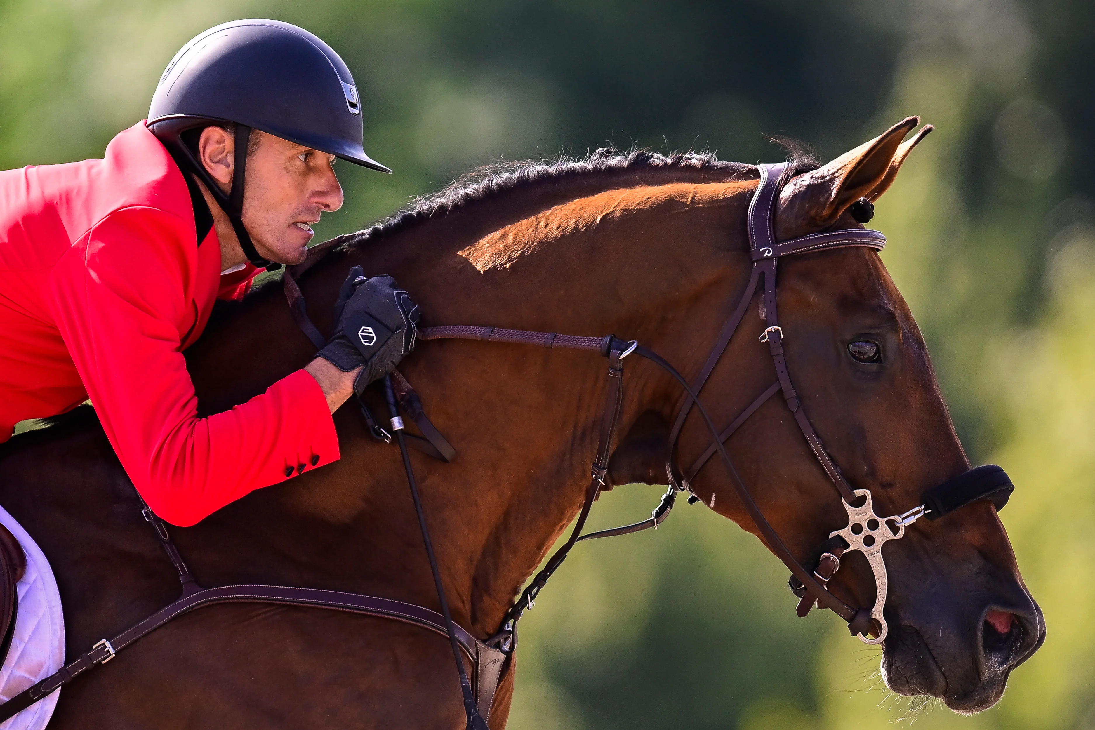 Belgian rider Gregory Wathelet and his horse Bond James Bond De Haypictured in action during the Equestrian Mixed Individual Jumping final at the Paris 2024 Olympic Games, on Tuesday 06 August 2024 in Paris, France. The Games of the XXXIII Olympiad are taking place in Paris from 26 July to 11 August. The Belgian delegation counts 165 athletes competing in 21 sports. BELGA PHOTO DIRK WAEM