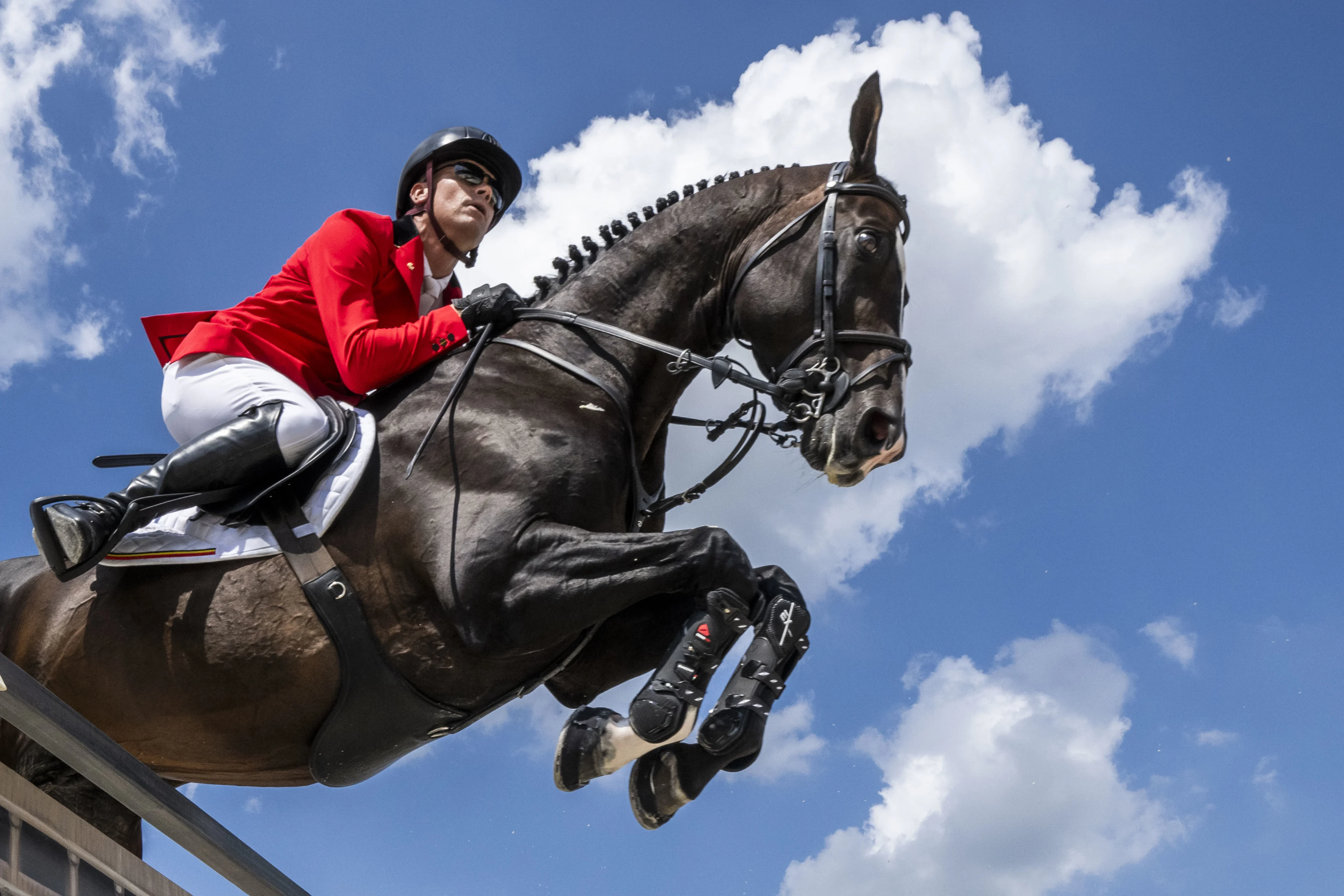 240802 Jerome Guery of Belgium on horse Quel Homme de Hus competes in equestrian jumping team final during day 7 of the Paris 2024 Olympic Games on August 2, 2024 in Paris.  Photo: Johanna Säll / BILDBYRÅN / kod JL / JL0415 ridsport equestrian olympic games olympics os ol olympiska spel olympiske leker paris 2024 paris-os paris-ol 7 bbeng grappa33 BELGIUM ONLY