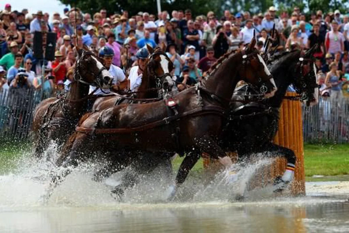 Belgian rider Glenn Geerts leads his horses through an obstacle during the Marathon driving competition for four-in-hand drivers during the World Equestrian Festival CHIO in Aachen Germany on July 22, 2017.  PATRIK STOLLARZ / AFP