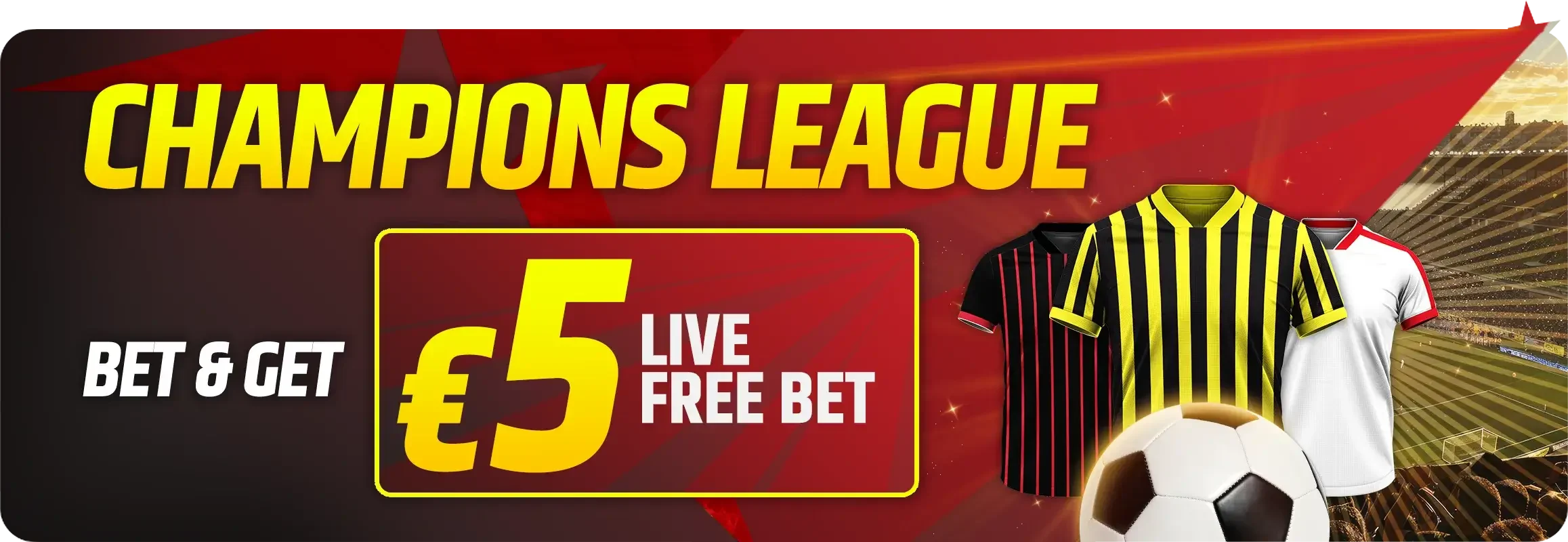 Champions Page banner 2315x800 EN