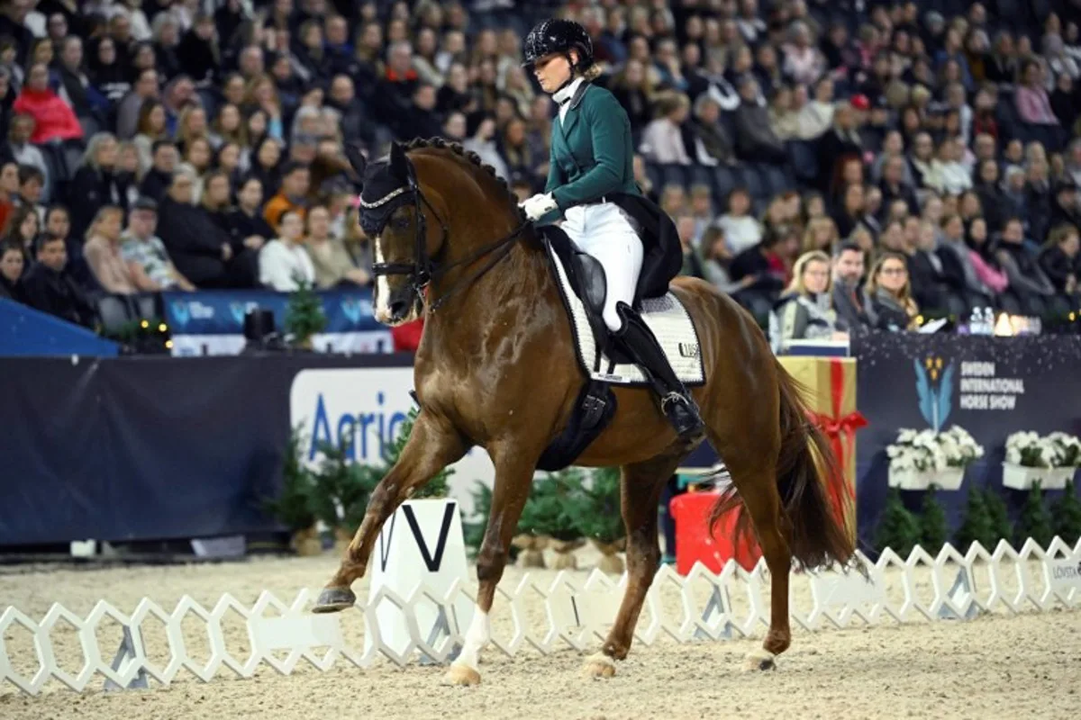 Dinja van Liere of the Netherlands riding her horse Hartsuijker competes during the FEI Grand Prix kür dressage competition at the Sweden International Horse Show held at the Friends Arena, Stockholm, Sweden, on November 27, 2022.  Fredrik SANDBERG / TT NEWS AGENCY / AFP