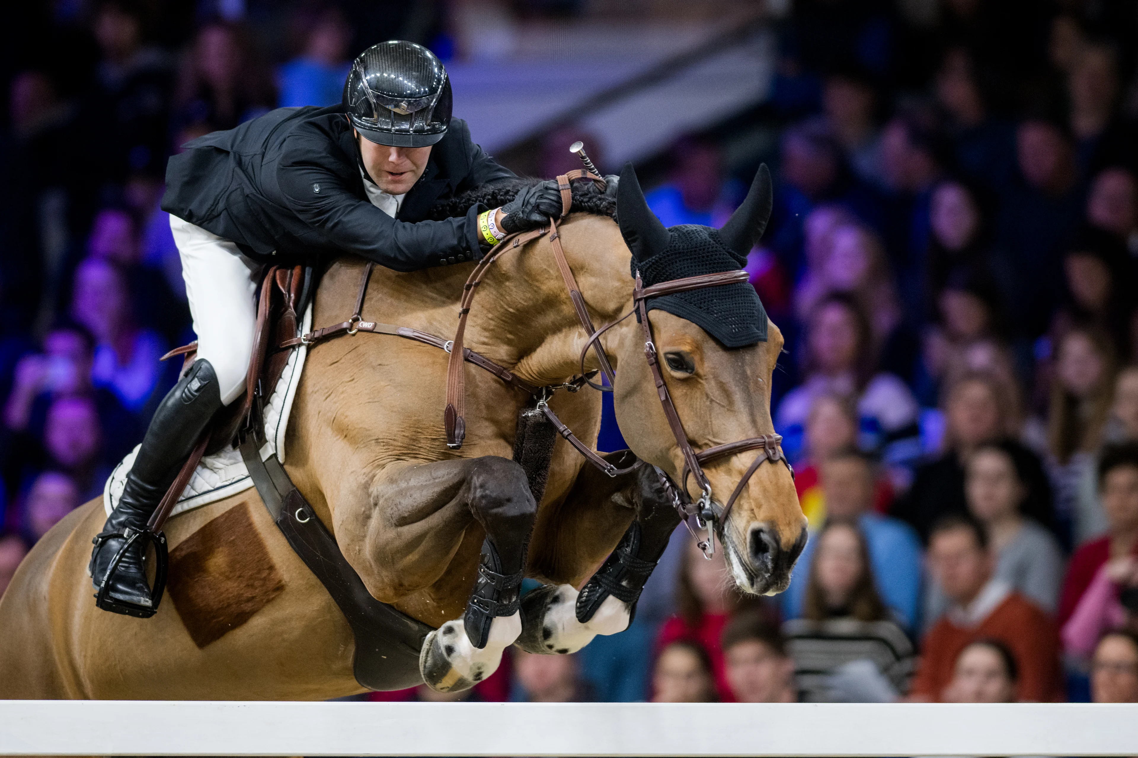 Belgian rider Gilles Thomas with Luna van het Dennehof pictured in action during the FEI World Cup Jumping competition at the 'Vlaanderens Kerstjumping - Memorial Eric Wauters' equestrian event in Mechelen on Saturday 30 December 2023. BELGA PHOTO JASPER JACOBS