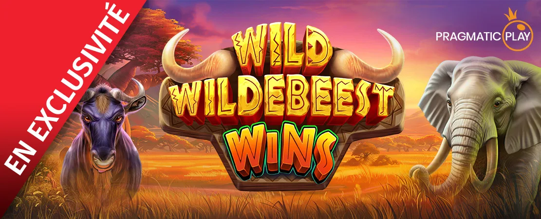 🐂 Exclusivement chez Starcasino ! Wild Wildebeest Wins de Pragmatic play 🐂