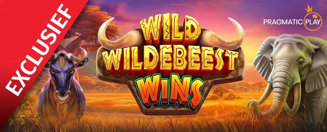 🐂 Exclusief bij Starcasino! Wild Wildebeest Wins van Pragmatic play 🐂