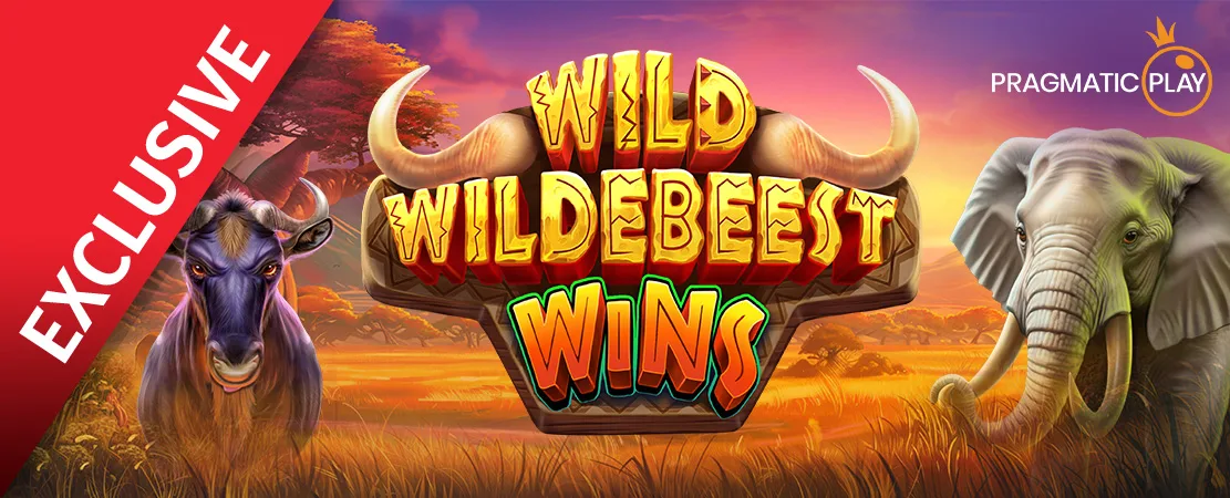 🐂 Exclusively at Starcasino! Wild Wildebeest Wins by Pragmatic play 🐂