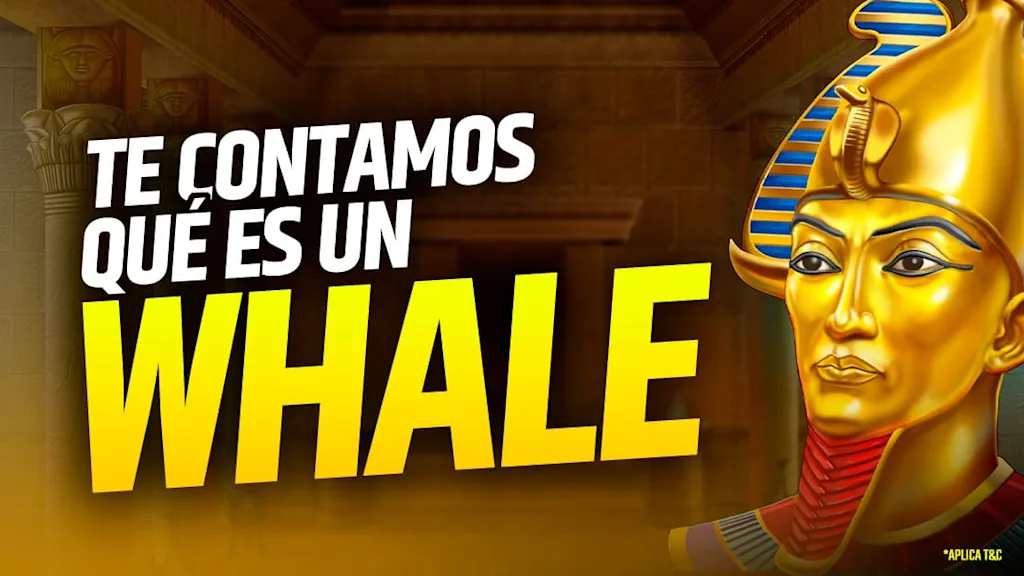 Whale en casinos: definición y perfil del jugador extremo
