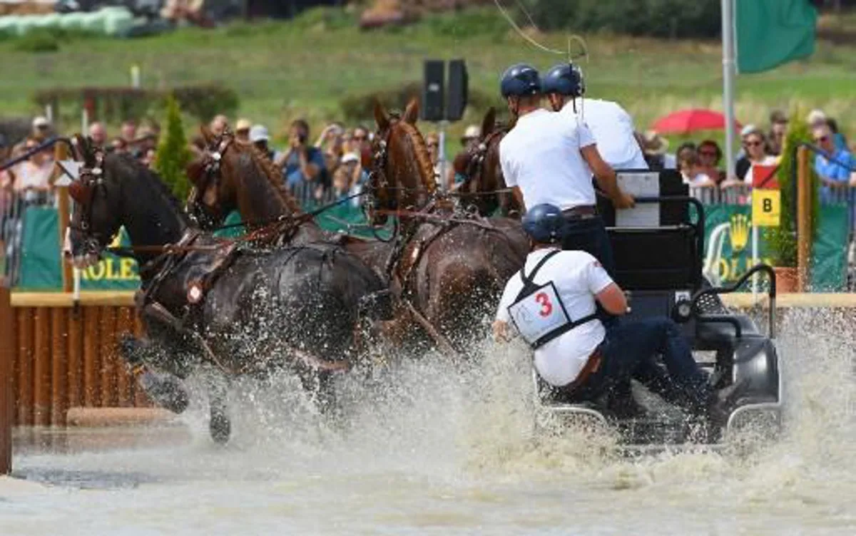 Belgian rider Glenn Geerts leads his horses through an obstacle during the Marathon driving competition for four-in-hand drivers during the World Equestrian Festival CHIO in Aachen Germany on July 22, 2017. PATRIK STOLLARZ / AFP