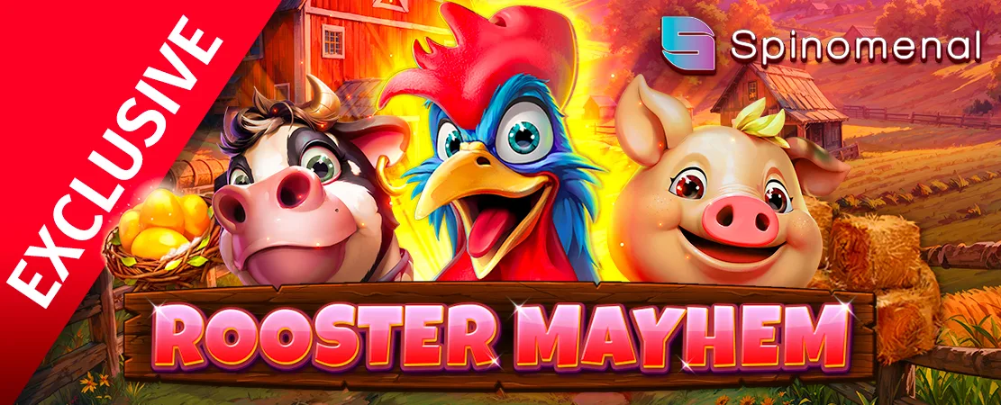 🐓 Exclusively at Starcasino! Rooster Mayhem by Spinomenal!