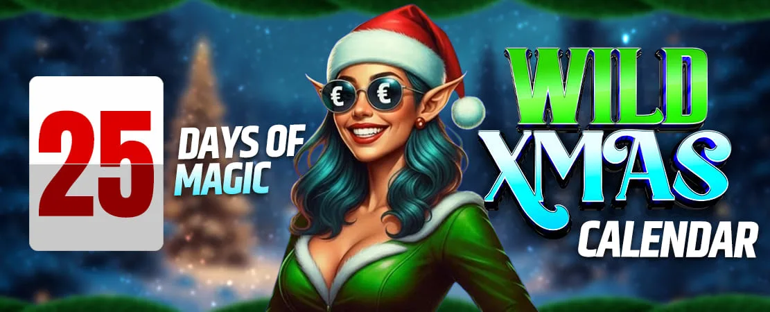 🌟 Wild Xmas Calendar